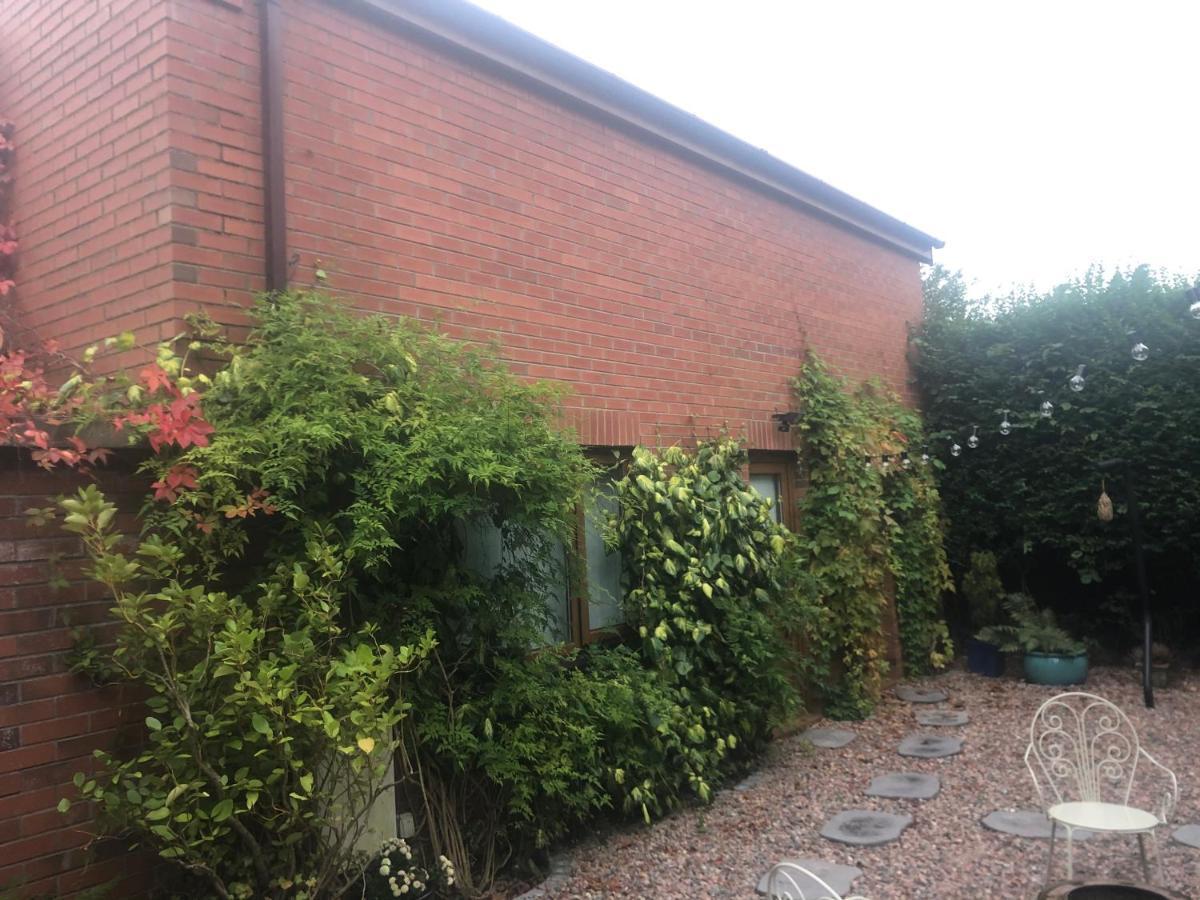Self Contained Coach House In Leafy South Belfast The Location Is Not Accurate 아파트 외부 사진